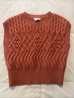 Cable Knit Sleeveless Sweater Vest - Rust